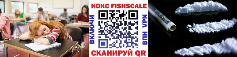где купить наркоту  гидра маркетплейс  КОКАИН Fish Scale  Краснослободск 