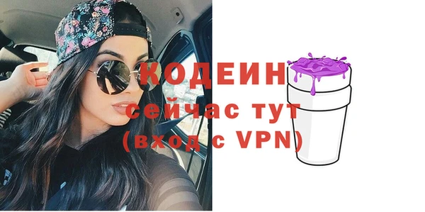 индика Козельск