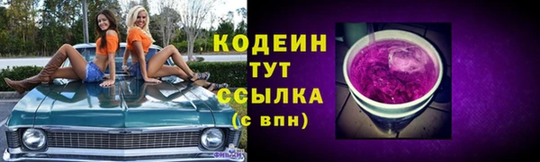 СК Кодинск