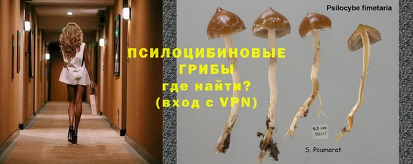 ГАЛЛЮЦИНОГЕННЫЕ ГРИБЫ Коряжма