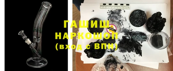 индика Козельск