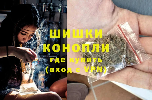 СК Кодинск