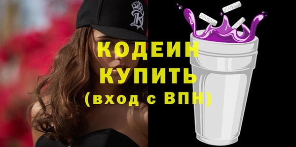 индика Козельск