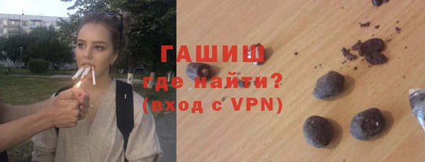 индика Козельск
