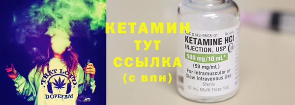 индика Козельск