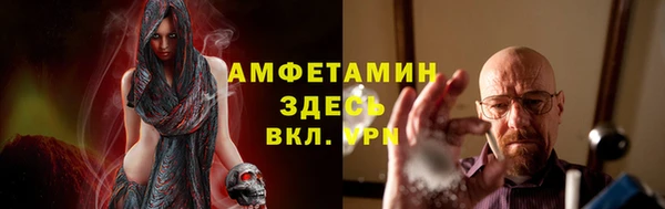 индика Козельск