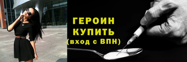 индика Козельск