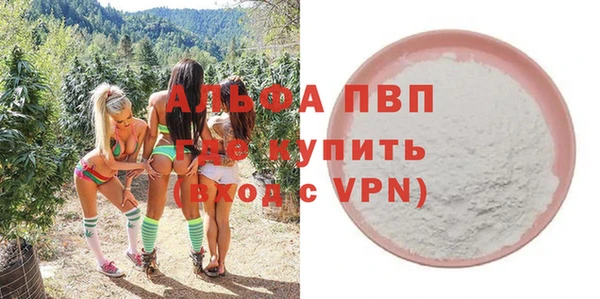 индика Козельск