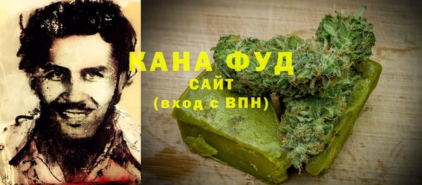 индика Козельск