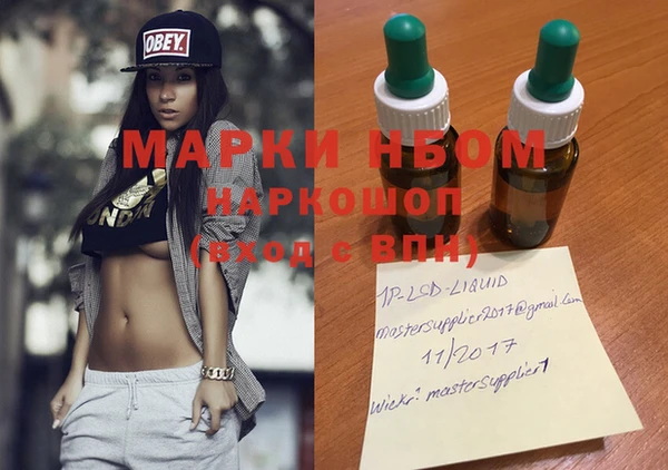 индика Козельск