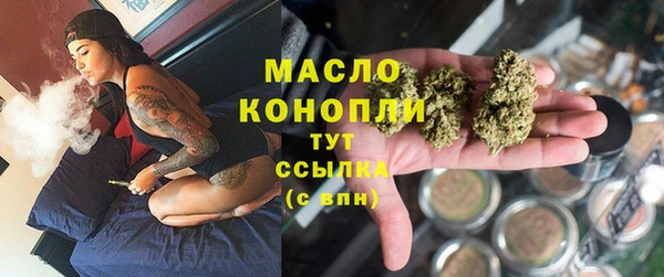индика Козельск