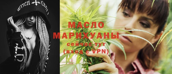 индика Козельск