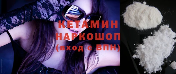 индика Козельск