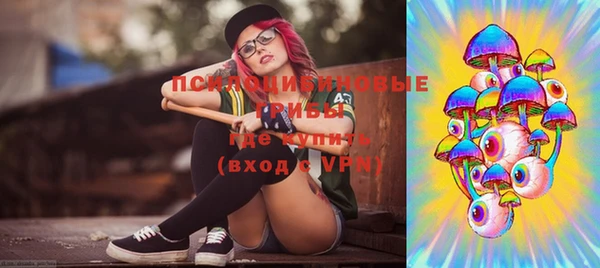 индика Козельск