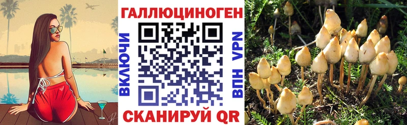 Псилоцибиновые грибы мицелий  Краснослободск 